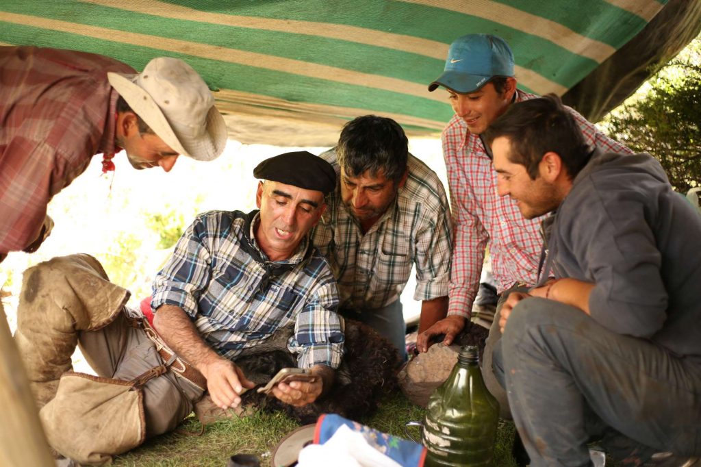 Chilean Cowboys taking a rest 