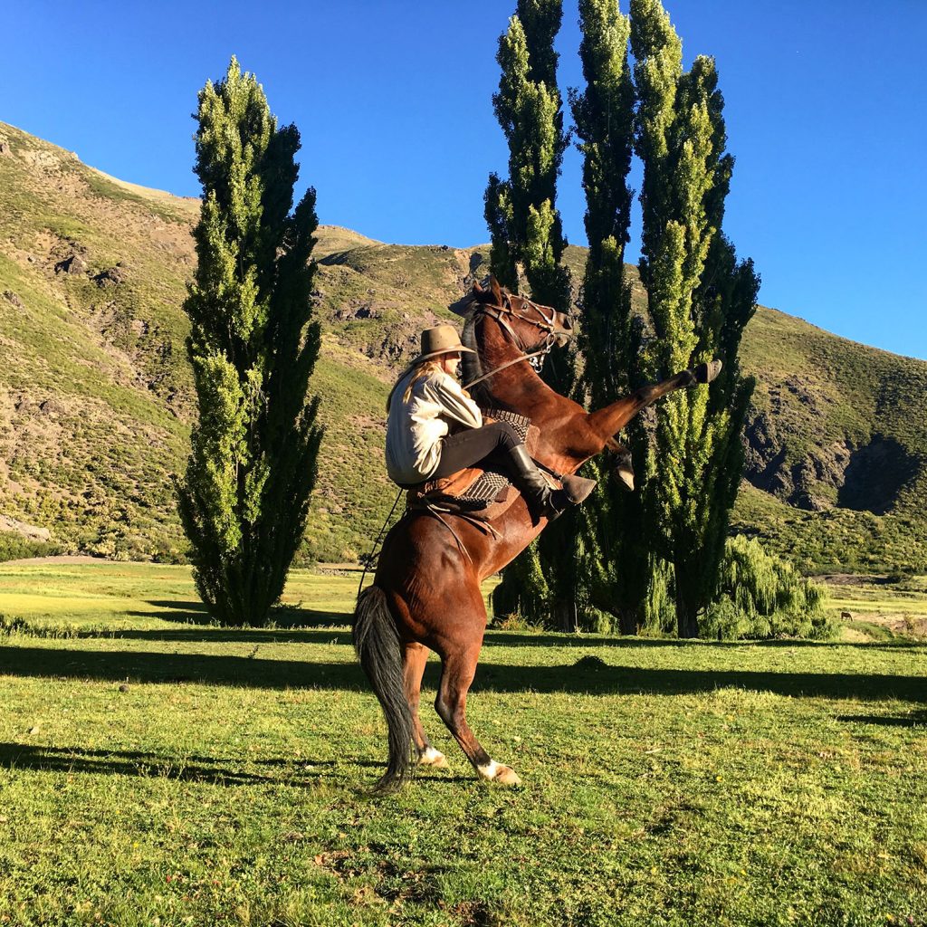 Chile Horse Riding gives you the opportunity to express your wild side: horse rears up on cue under rider